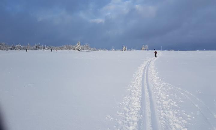 Zum Erzgebirge