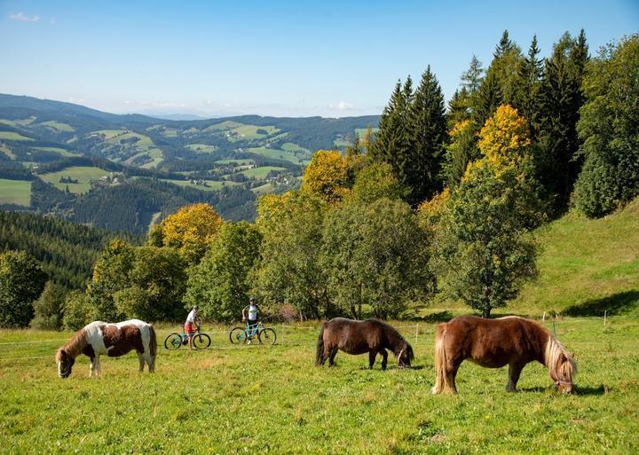 Gasthof & Pension Elli Krößner